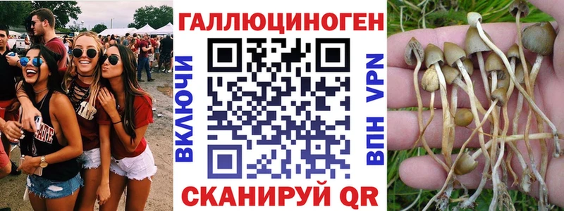 наркошоп  Усть-Кут  Псилоцибиновые грибы GOLDEN TEACHER 