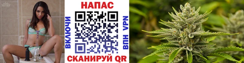 Конопля планчик  Усть-Кут 
